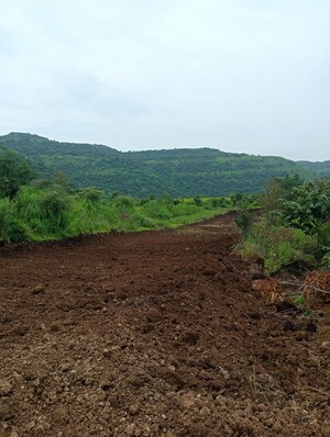 Plot Area in  Plot at Hinjewadi – for Sale