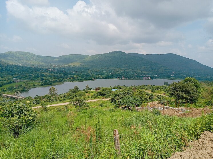 undefined, hinjewadi  20000 Sq.Ft. Plot In Hinjewadi Pune 9705877