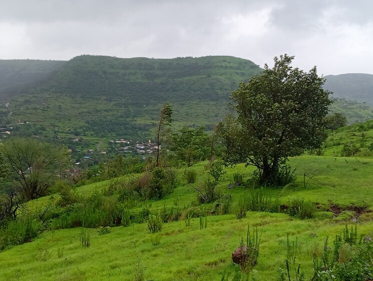 undefined, hinjewadi  20000 Sq.Ft. Plot In Hinjewadi Pune 9705877