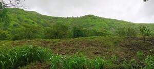  Plot – Garden View at Hinjewadi - for Sale