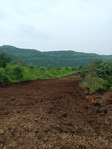 Plot Area in  Plot at Hinjewadi – for Sale