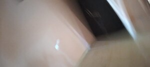 Room in 2 BHK Independent House at Sector 4 – for Rent