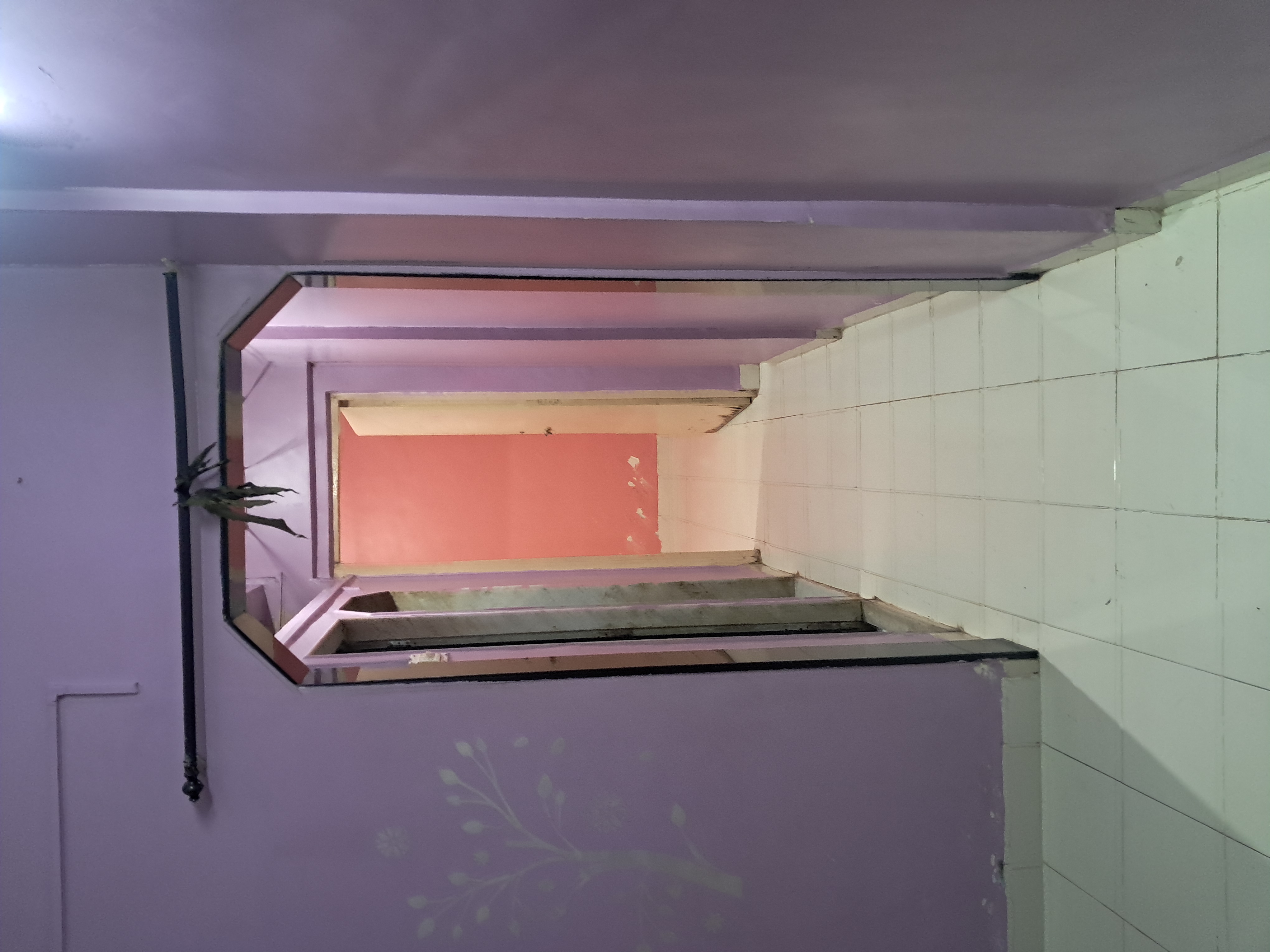 1 Rk  + Pooja Room 230 Sq.Ft. Apartment in Jinal Chs