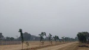  Plot For Sale in Gosainganj