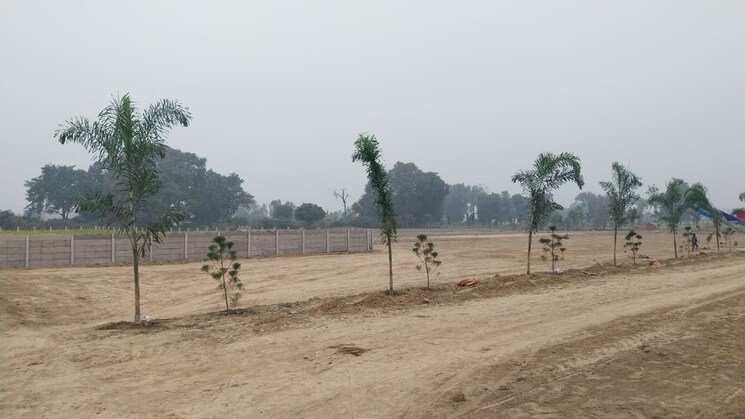 undefined, gosainganj  1250 Sq.Ft. Plot In Gosainganj Lucknow 9706293