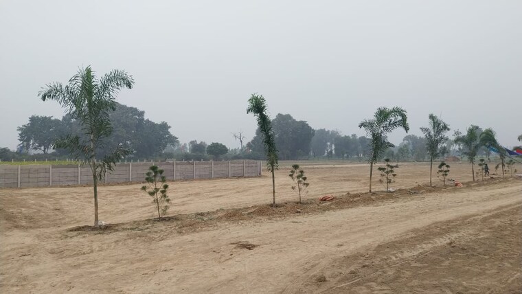 undefined, gosainganj  1250 Sq.Ft. Plot In Gosainganj Lucknow 9706293