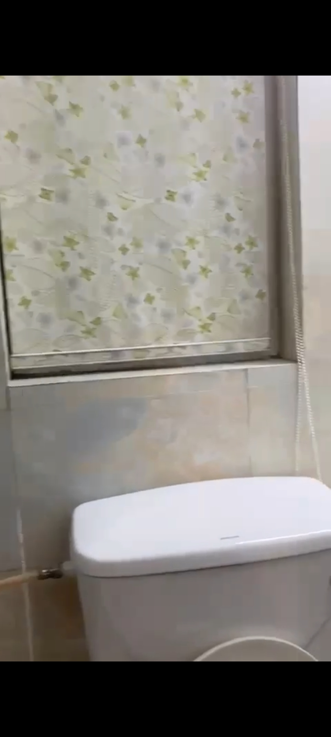 2 BHK Apartment For Rent in Signature The Serenas