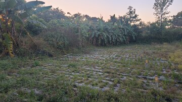 Plot Area in  Plot at Mahabaleshwar – for Sale