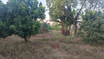 Plot Area in  Plot at Mahabaleshwar – for Sale