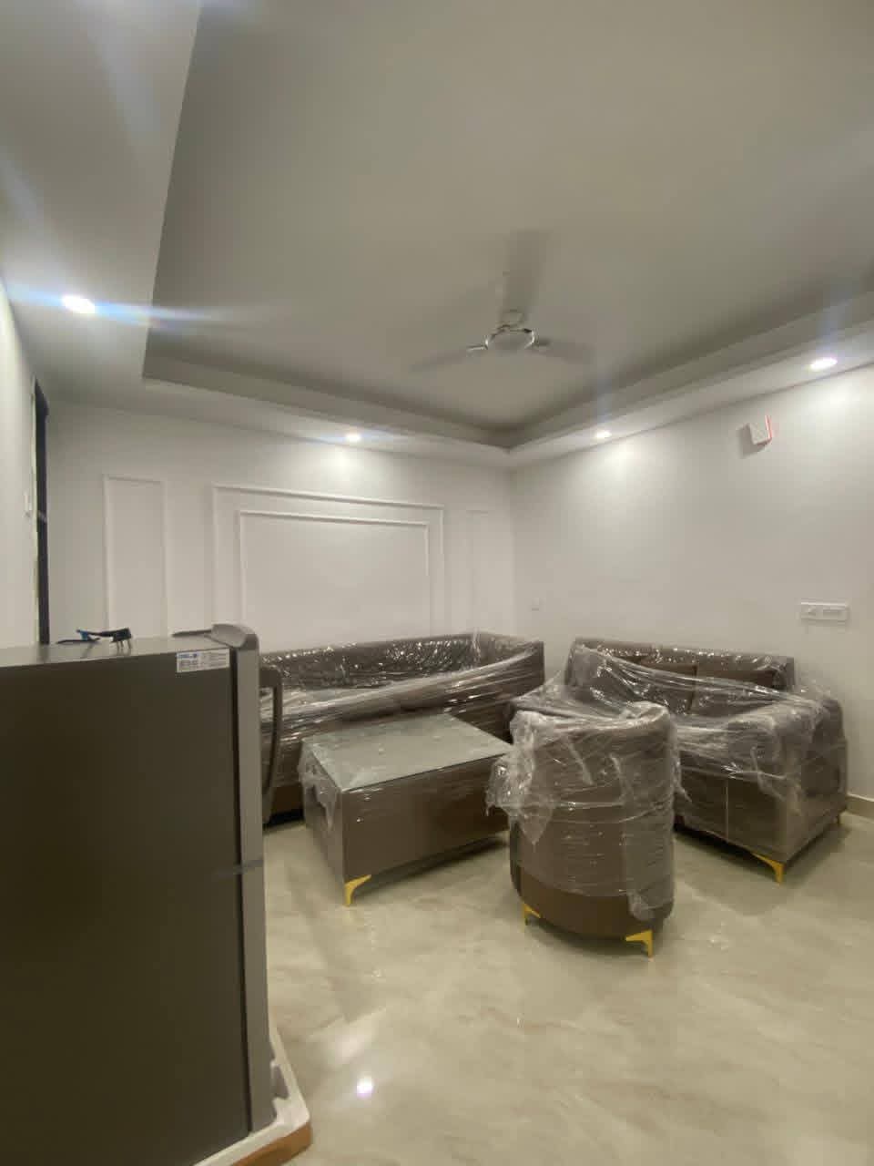 1 BHK Apartment For Rent in Saket