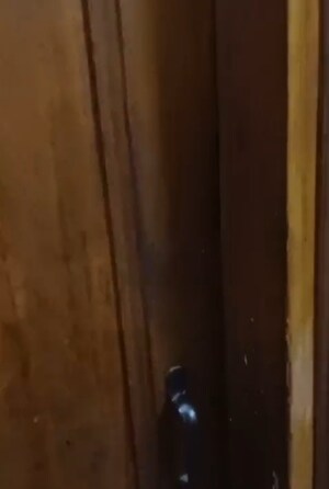 3 BHK Independent House For Sale in Sector 8