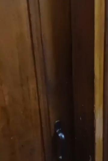 3 BHK + Pooja Room Independent House For Sale in Sector 8, Faridabad 