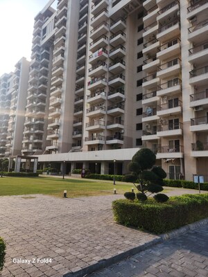 2 BHK Apartment For Sale in Ashiana Mulberry, Sohna Sector 2