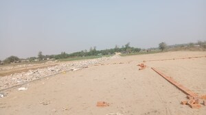  Plot For Sale in Sector 141