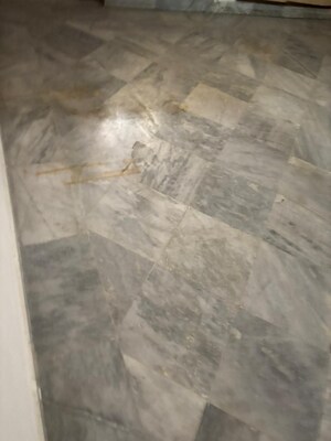 Room in 6+ BHK Villa at Sector 72 – for Rent