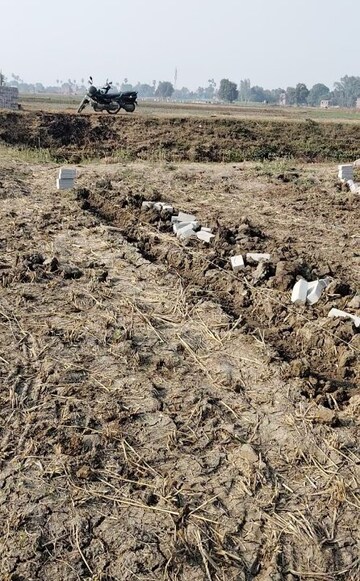  Plot For Sale in Danapur