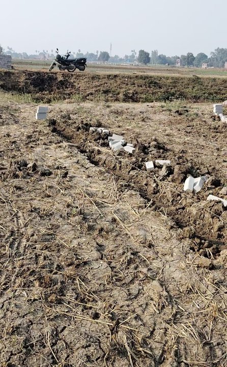 Plot For Sale in Danapur