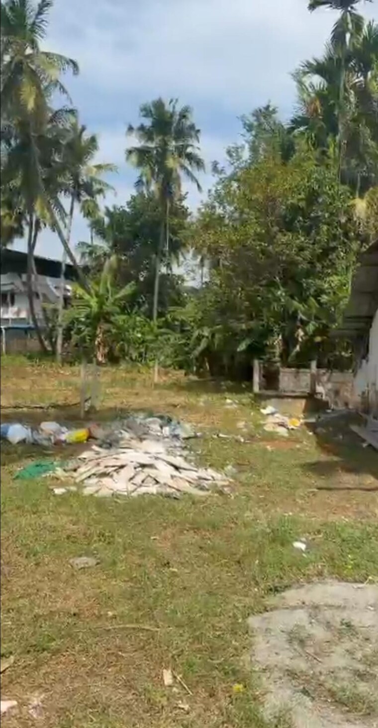 Exterior View, ayyanthole  3484 Sq.Ft. Plot In Ayyanthole Thrissur 9710424