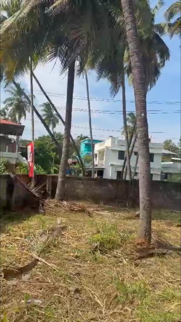 Exterior View, ayyanthole  3484 Sq.Ft. Plot In Ayyanthole Thrissur 9710424