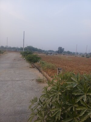  Plot For Sale in Jewar