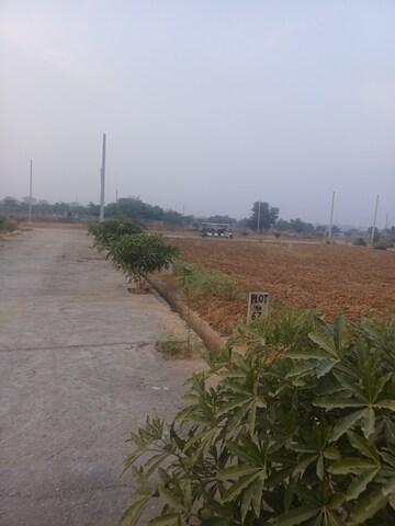  Plot For Sale in Jewar