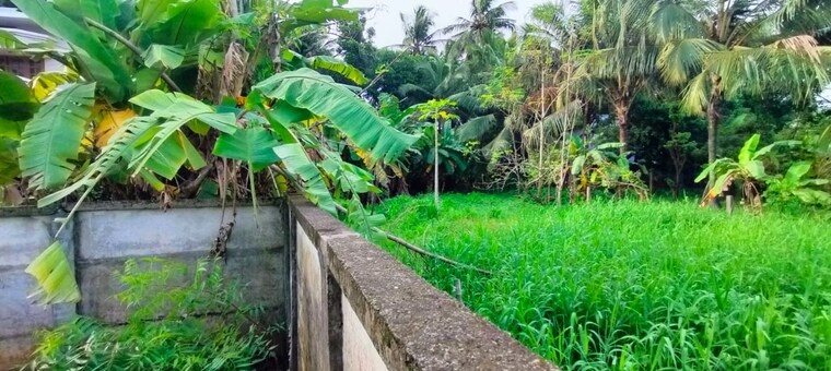 Exterior View, punkunnam  4793 Sq.Ft. Plot In Punkunnam Thrissur 9710646