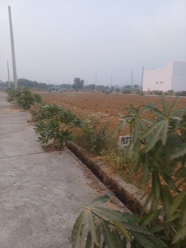 Exterior View, jewar  175 Sq.Yd. Plot In Jewar Greater Noida 9710680