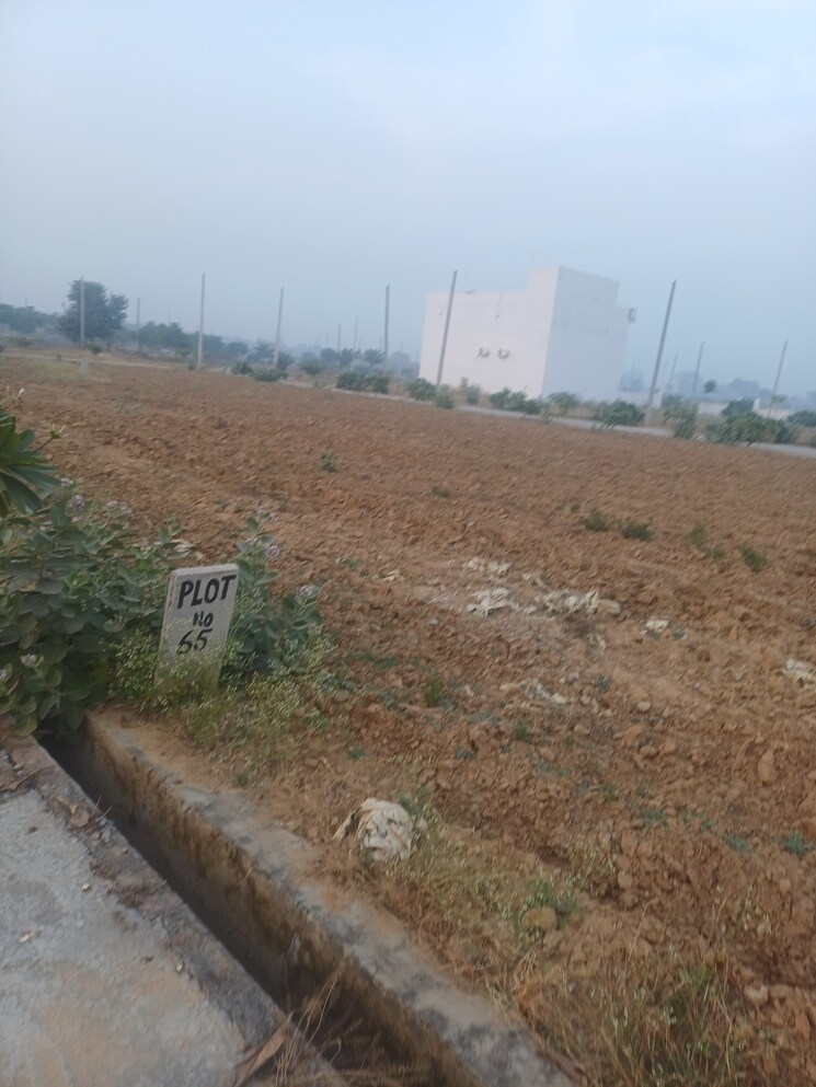 Exterior View, jewar  175 Sq.Yd. Plot In Jewar Greater Noida 9710680
