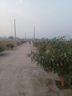 Plot – Exterior View View at Jewar - for Sale