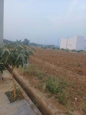 Plot For Sale in Jewar