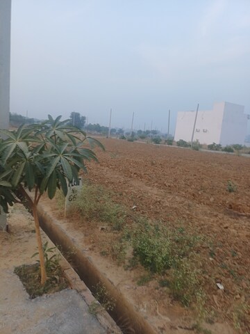  Plot For Sale in Jewar