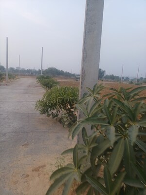  Plot – Exterior View View at Jewar - for Sale