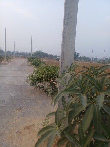  Plot – Exterior View View at Jewar - for Sale