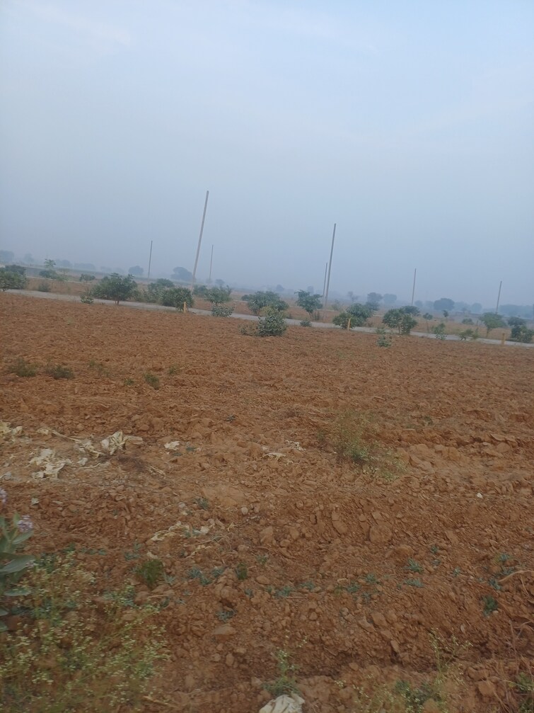 Exterior View, jewar  180 Sq.Yd. Plot In Jewar Greater Noida 9710714