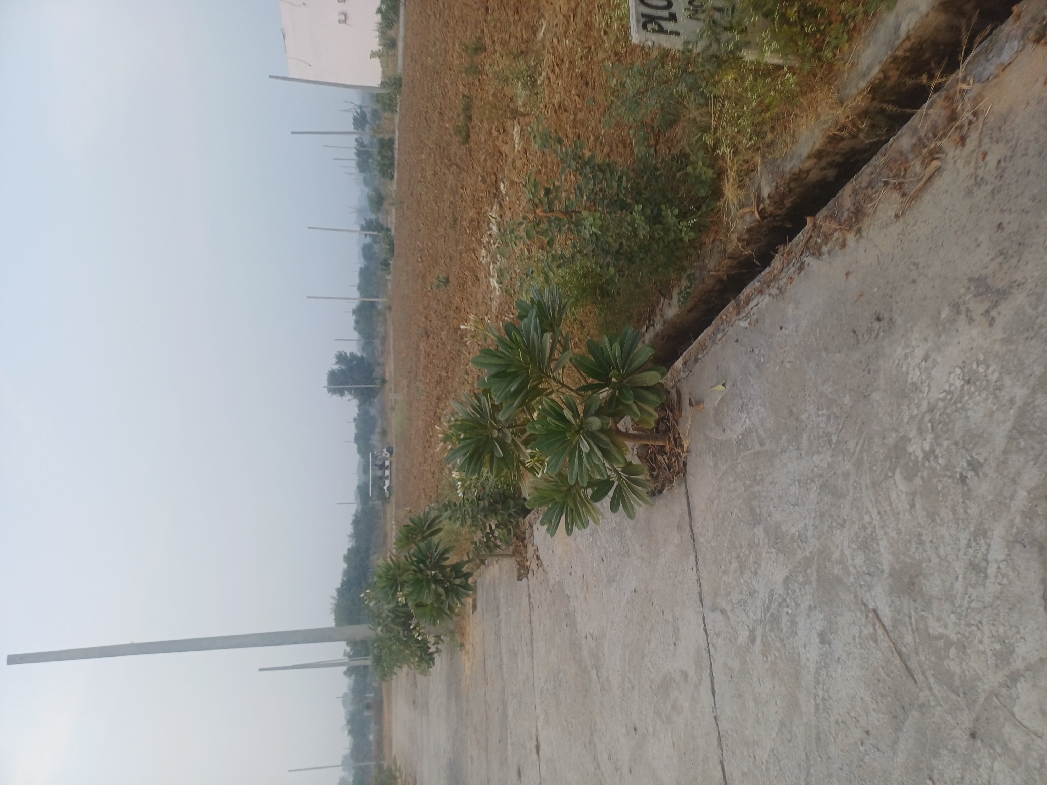 Plot For Sale in Jewar