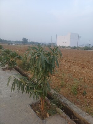  Plot – Exterior View View at Jewar - for Sale