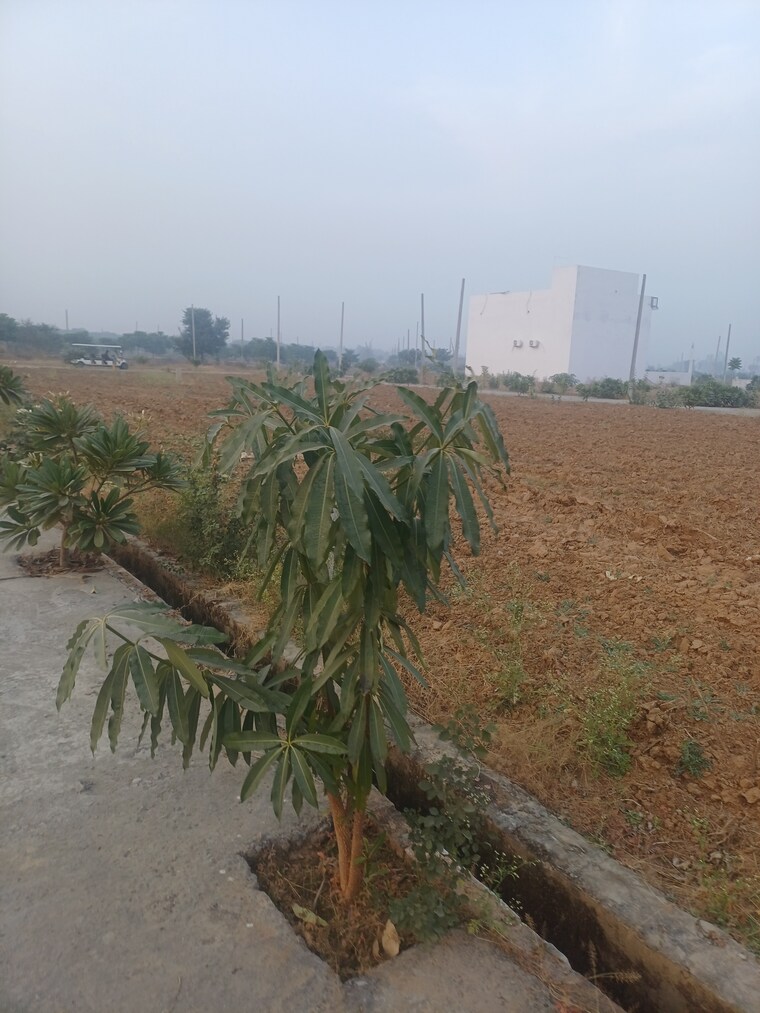 Exterior View, jewar  185 Sq.Yd. Plot In Jewar Greater Noida 9710734