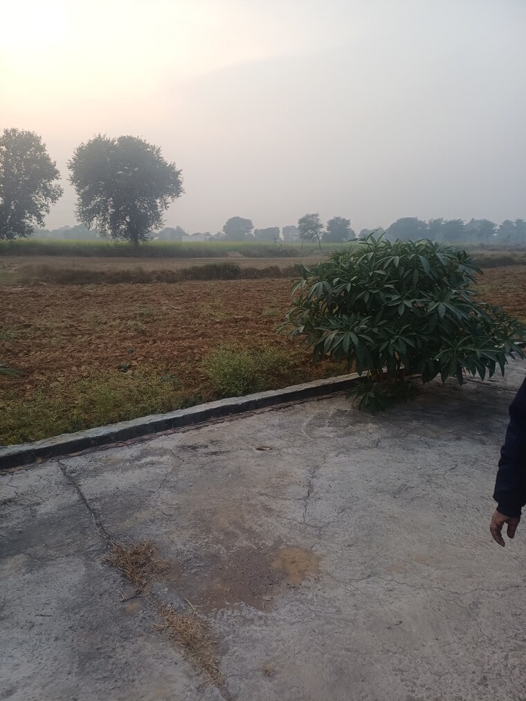 Exterior View, jewar  190 Sq.Yd. Plot In Jewar Greater Noida 9710766