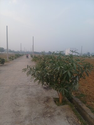  Plot – Exterior View View at Jewar - for Sale