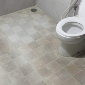 Bathroom in 3 BHK Apartment at Vajram Essenza, Thanisandra Main Road – for Rent