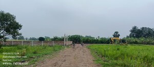 Plot Area in  Industrial Plot at Kabardanga – for Sale