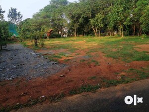 Plot Area in  Plot at Muthuvara – for Sale
