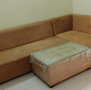 Living Room in 2 BHK Builder Floor at Sector 65 – for Rent