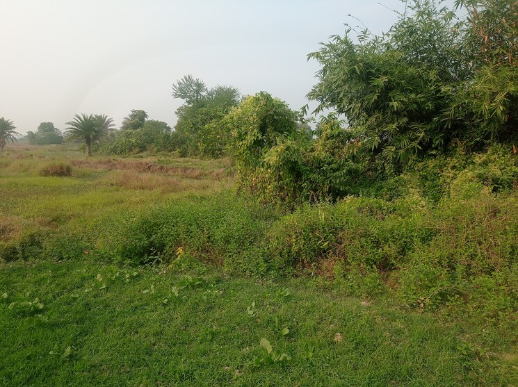 undefined, sonarpur  14400 Sq.Yd. Plot In Sonarpur Kolkata 9712232