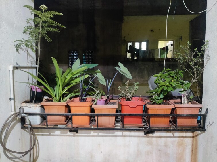 undefined, wadgaon sheri 2 Bedroom 690 Sq.Ft. Apartment In Wadgaon Sheri Pune 9712397