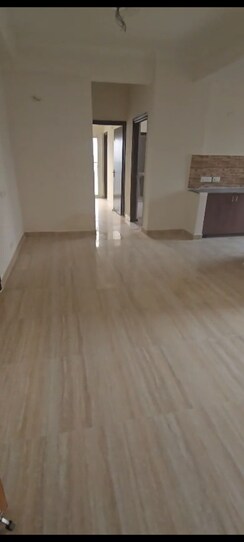 3 BHK Apartment For Sale in Amrapali Terrace Homes