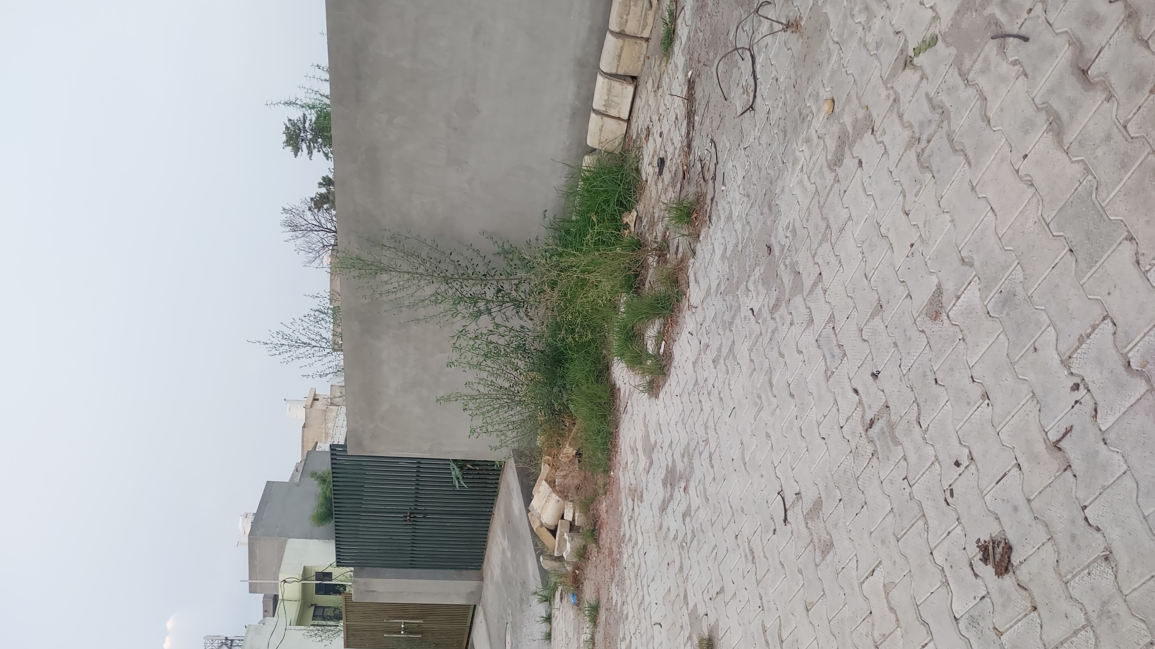 Plot For Sale in Bhai Randhir Singh Nagar