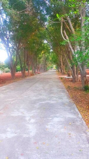  Plot – Garden View at Chilkur - for Sale