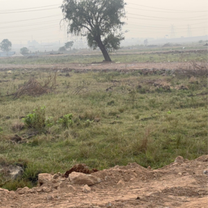 Plot Area in  Plot at Kandrika – for Sale