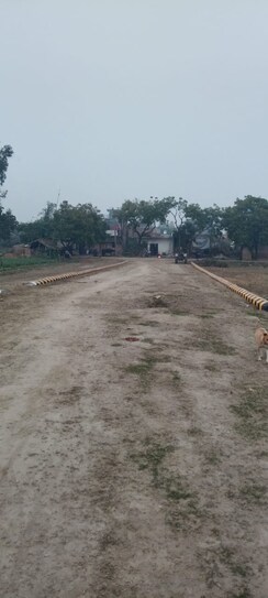 Plot For Sale in Royal City Phase 2